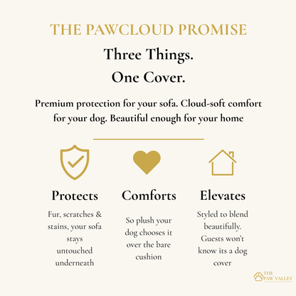 PawCloud